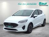 Ford Fiesta 1.0 EcoBoost S&S TITANIUM Winter-Paket - Behindertengerechte Ford Fiesta