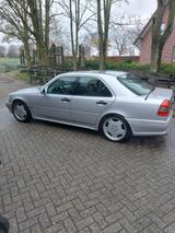 Mercedes-Benz C 36 AMG - Mercedes-Benz C 36 AMG: Limousine