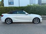 BMW 218i Cabrio Luxury Line  - : Cabrio, Luxury