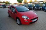 Fiat Punto Young Ahk/Navi/Klima/Servo/Isofix - Fiat Punto Gebrauchtwagen