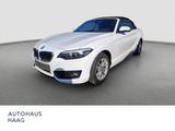 BMW 218 Cabrio d Advantage Business PDC TLeder - BMW 218: 218d