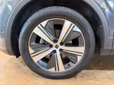 Seat Tarraco Xperience2.0 TDI DSG/PANO/LEDER/ACC/CAM - Seat Tarraco aus 2023