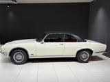 Jaguar XJ6 4.2Liter Coupé, Speichenräder, H-Zulassung - Jaguar XJ6: Coupé