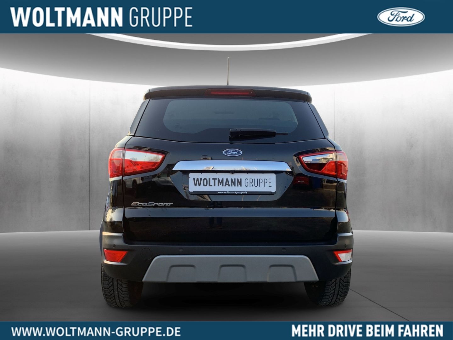 Fahrzeugabbildung Ford EcoSport Titanium, Navigation, Sitz-u. Lenkradhe