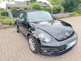 Volkswagen Beetle 1.2 TSI DSG BMT SOUND Cabriolet SOUND - Volkswagen Beetle SOUND mit Benzin-Antrieb