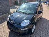 Fiat Panda 1,2 *KLIMA*EIN JAHR GARANTIE* - Fiat Panda aus 2013