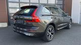 Volvo XC60 Xenium Pro AWD/ Pano/ AHK/ Stanhz/ 360 Kam/ - Volvo Hybrid (Diesel/Elektro)
