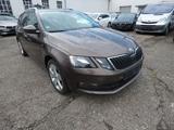 Skoda Octavia Combi Active - Skoda Octavia Active mit Benzin-Antrieb