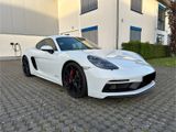 Porsche Cayman GTS 2.5 KlappenAuspuff  LED Kamera Bose - Porsche Cayman aus 2019