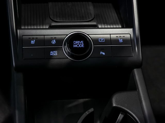Hyundai Kona Trend Elektro 2WD Autobahnassistent Kamera