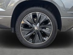 SKODA Sportline 1.5 TSI DSG Leder DCC PANO