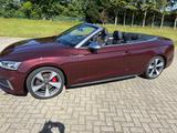 Audi S5 3.0 TFSI tiptronic quattro Cabriolet - - rote Audi S5