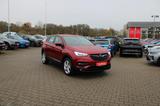 Opel Grandland 1.6 Business Edition Phev*SHZ*AHK*Navi - Opel Grandland (X) Edition mit Hybrid-Antrieb (Benzin/Elektro)