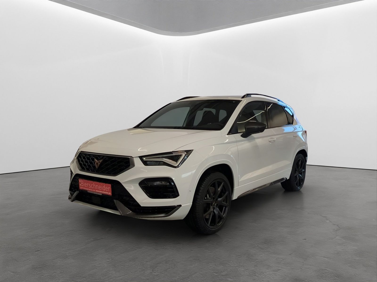 Cupra Ateca 2.0 TSI DSG 4Drive VZ ab 259.-netto Busine imagem 2
