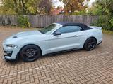 Ford Mustang 2.3 EcoBoost Auto - - Ford Mustang in Osnabrück