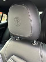 Alfa Romeo Stelvio 2.0 Turbo 16V 147kW B-Tech AT8-Q4 B-Tech - Alfa Romeo Gebrauchtwagen in Karlsruhe