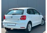 Volkswagen Polo 1.2 TSI 66kW DSG Comfortline BMT DSG - Volkswagen Polo: 6.1