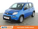 Fiat Panda 1.0 Mild-Hybrid Pandina Cross*TEMPO*PDC* - Fiat Panda: Pandina