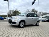 Fiat Panda 1.2 8V Easy *5 Türer Klimaanlage DAB* - Fiat Panda EASY mit Benzin-Antrieb