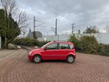 Fiat Panda 1.2 8V Dynamic - : Fiat 2003