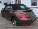 Volkswagen Beetle 1.2TSI Allstar Plus Xenon Kamera Navi - Volkswagen Beetle ALLSTAR mit Benzin-Antrieb