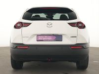 Mazda MX-30 - Vorschau Bild 7
