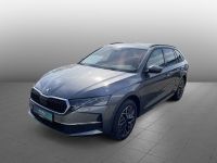 Skoda Octavia - Vorschau Bild 1