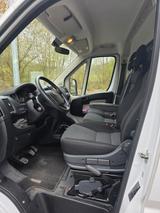 Fiat Ducato - Fiat Ducato in Dortmund