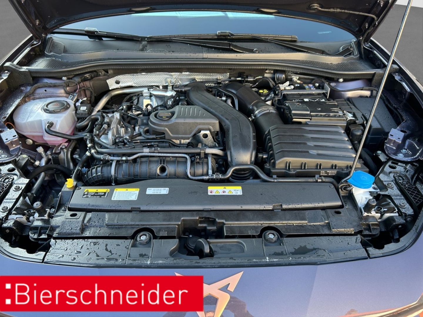 Cupra Leon - Bild 26