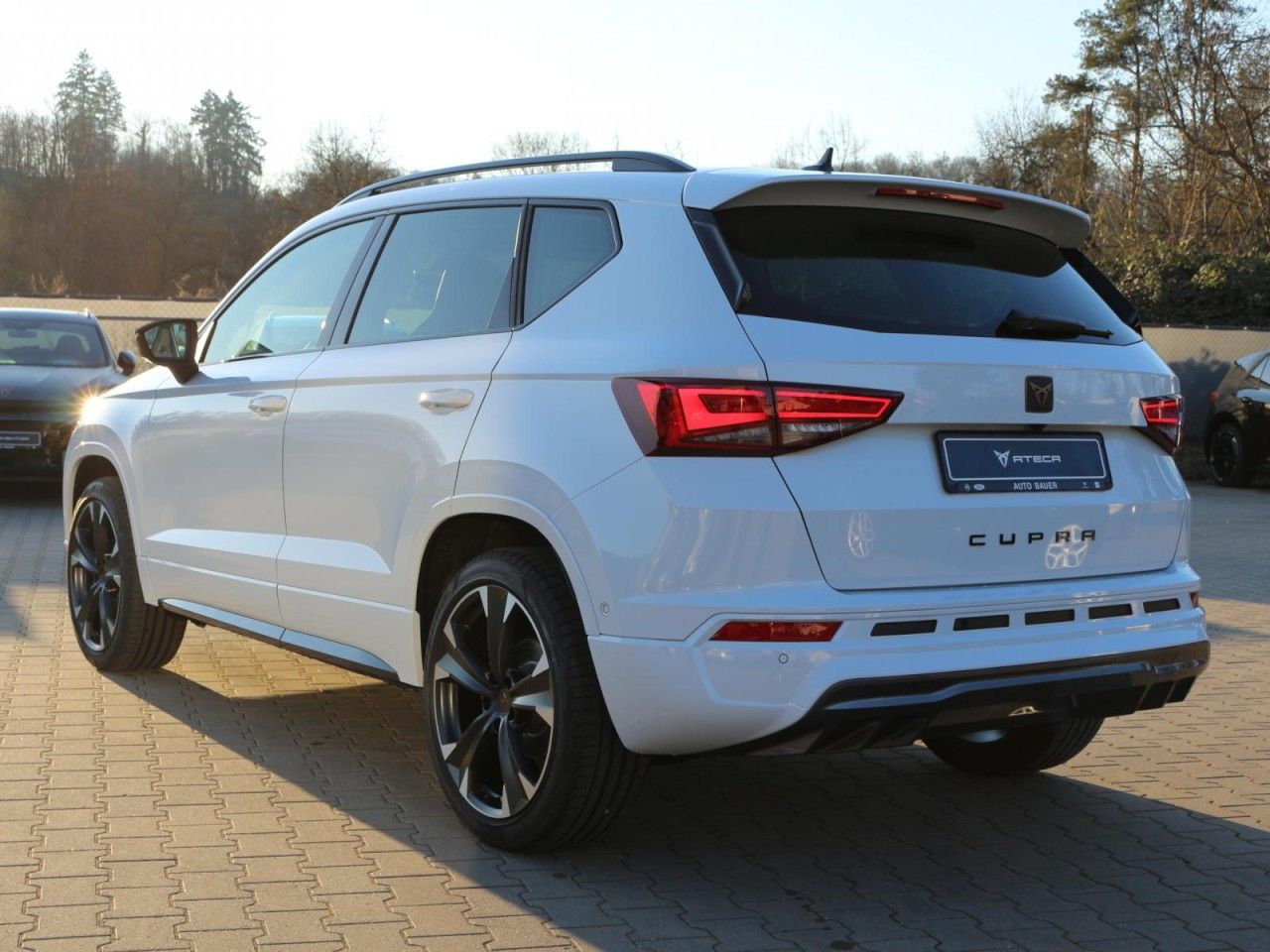 Fahrzeugabbildung CUPRA Ateca 2.0 TSI DSG 4Drive