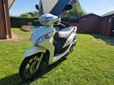 Honda Vision 50 - BENZIN MOFA AUTOMATIK