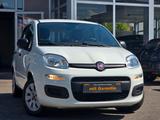 Fiat Panda Pop*1 HAND*KLIMA*TÜV*USB*BT* - Fiat Panda: Allradantrieb, 1.1