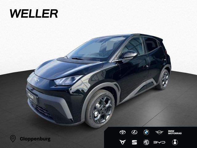 BYD DOLPHIN SURF