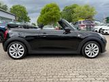 MINI COOPER Cabrio/Aut/Leder/Navi/Cam/ - MINI MINI: Cabrio, Automatik