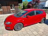 Seat leon,  Copa ecomotive 2012 - Seat Leon: Copa Ecomotive