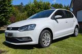 Volkswagen Polo 1.4 TDI 66kW Comfortline BMT Comfortlin... - Volkswagen Polo: TDI Comfortline