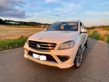 Mercedes-Benz Hofele GT 550 Starcruiser -ML 350 4MATIC - - Mercedes-Benz: Ml55
