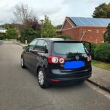 Volkswagen Golf Plus 1.4 Comfortline Comfortline - Volkswagen Golf Plus in Kiel