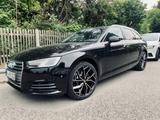 Audi A4 ALCANTARA INCL. ALUFELGEN, SOMMER+WINTER - Audi A4: Alufelgen
