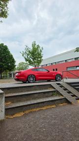 Ford Mustang 5.0 V8 GT  - Ford Mustang Gebrauchtwagen in Stuttgart