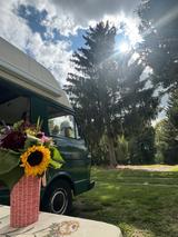 Volkswagen LT 31 D - Volkswagen Lt31