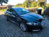 Jaguar XF 2.2D 2012 - gebrauchte Jaguar XF aus dem Jahr 2012