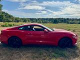 Ford Mustang 2.3 EcoBoost|317 PS|Unfallfrei - Ford Mustang: Ecoboost