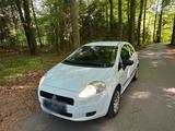 Fiat Punto  1"2 Benzin Nue TÜV - Fiat Punto von 2026