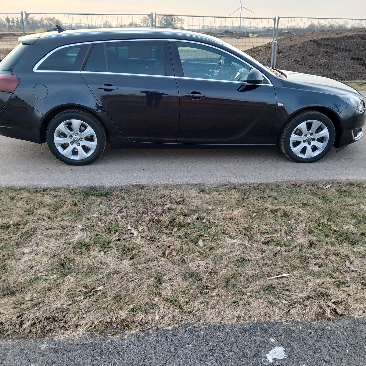 Opel Insignia 2014 — rear view