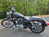 Harley-Davidson Sportster XL 1200 Custom - XL2 5HD - HARLEY-DAVIDSON 2005 SPORTSTER 1200