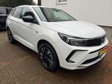 Opel Grandland (X) Plug-in-Hybrid Elegance Neuwertig - Opel aus 2023