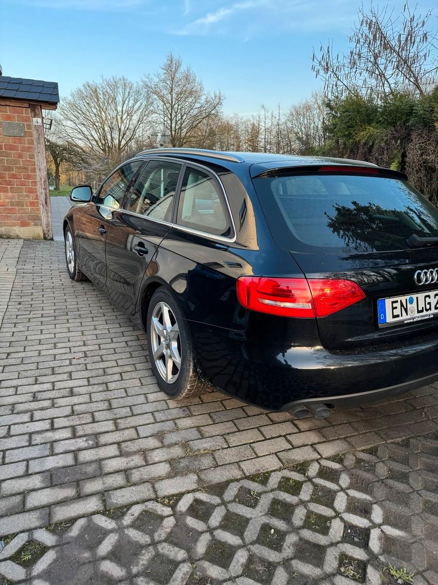 Audi A4 2009 — photo 6