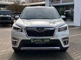 Subaru Forester 2.0ie AWD Platinum *AHK*beh.Lenk*Pano* - Subaru: Awd