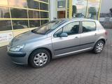 Peugeot 307 Grand Filou Cool 110 - Peugeot 307: Filou Cool Grand